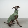 Bild in Galerie-Betrachter laden, SWEAT SHIRT Iggy Matcha
