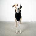 Bild in Galerie-Betrachter laden, SWEAT SHIRT Windhund Schwarz