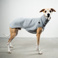 Bild in Galerie-Betrachter laden, SWEAT SHIRT Windhund Grey Melange
