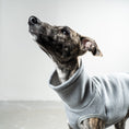 Bild in Galerie-Betrachter laden, SWEAT SHIRT Windhund Grey Melange
