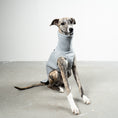 Bild in Galerie-Betrachter laden, SWEAT SHIRT Windhund Grey Melange