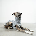 Bild in Galerie-Betrachter laden, SWEAT SHIRT Windhund Grey Melange