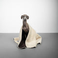 Bild in Galerie-Betrachter laden, Teddy Kuscheldecke Dunkelbraun/Beige