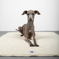 Bild in Galerie-Betrachter laden, Teddy Kuscheldecke Dunkelbraun/Beige
