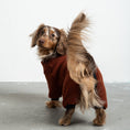 Bild in Galerie-Betrachter laden, Teddy Overall Dackel Brown – Hundekleidung für Dackel, Windspiele und Whippets – Rückenansicht