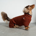 Bild in Galerie-Betrachter laden, Teddy Overall Dackel Brown – optimale Passform für Windhunde, Whippets und Dackel