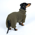 Bild in Galerie-Betrachter laden, Teddy Overall Dackel Dark Olive – Hundekleidung für Dackel, Windspiele und Whippets – Rückenansicht