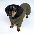 Bild in Galerie-Betrachter laden, Teddy Overall Dackel Dark Olive – optimale Passform für Windhunde, Whippets und Dackel