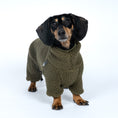 Bild in Galerie-Betrachter laden, Teddy Overall Dackel Dark Olive – Ganzkörperansicht – stilvolle Hundekleidung für Dackel und Windspiele