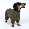Bild in Galerie-Betrachter laden, Teddy Overall Dackel Dark Olive – hochwertige Hundekleidung für Dackel, Windspiele und Windhunde von Karma Hund Berlin – Hund frontal