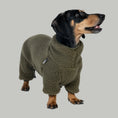 Bild in Galerie-Betrachter laden, Teddy Overall Dackel Dark Olive – hochwertige Hundekleidung für Dackel, Windspiele und Windhunde von Karma Hund Berlin – Hund frontal