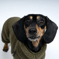 Bild in Galerie-Betrachter laden, Teddy Overall Dackel Dark Olive – Close-up am Hund – hochwertige Hundekleidung von Karma Hund