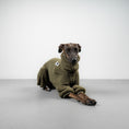 Bild in Galerie-Betrachter laden, TEDDY OVERALL Iggy Olivgrün