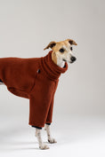 Bild in Galerie-Betrachter laden, Whippet trägt grauen Windhund Overall mit elastischen Bündchen – handgefertigt in Berlin
