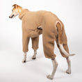 Bild in Galerie-Betrachter laden, Teddy Overall Windhund Camel – Hundekleidung für Dackel, Windspiele und Whippets – Rückenansicht