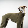 Bild in Galerie-Betrachter laden, TEDDY OVERALL Windhund Olivgrün