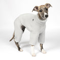 Bild in Galerie-Betrachter laden, Teddy Overall Windhund Light Grey – hochwertige Hundekleidung für Dackel, Windspiele und Windhunde von Karma Hund Berlin – Ganzkörperansicht am Hund