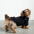 Bild in Galerie-Betrachter laden, Teddy Pullover Dackel Schwarz – hochwertige Hundekleidung für Dackel, Windspiele und Windhunde von Karma Hund Berlin – Ganzkörperansicht am Hund