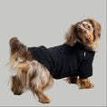 Bild in Galerie-Betrachter laden, Teddy Pullover Dackel Schwarz – hochwertige Hundekleidung für Dackel, Windspiele und Windhunde von Karma Hund Berlin – Ganzkörperansicht am Hund