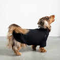 Bild in Galerie-Betrachter laden, Teddy Pullover Dackel Schwarz – Hundekleidung für Dackel, Windspiele und Whippets – Rückenansicht