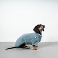 Bild in Galerie-Betrachter laden, TEDDY PULLOVER Dackel Eisblau