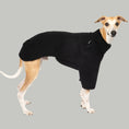 Bild in Galerie-Betrachter laden, Teddy Pullover Windhund Schwarz – hochwertige Hundekleidung für Dackel, Windspiele und Windhunde von Karma Hund Berlin – Ganzkörperansicht am Hund