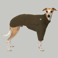 Bild in Galerie-Betrachter laden, Teddy Pullover Windhund Dark Olive – hochwertige Hundekleidung für Dackel, Windspiele und Windhunde von Karma Hund Berlin – Ganzkörperansicht am Hund