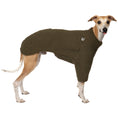 Bild in Galerie-Betrachter laden, Teddy Pullover Windhund Dark Olive – Hundepullover und Hundekleidung für Dackel und Windhunde – Seitenansicht am Hund