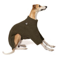Bild in Galerie-Betrachter laden, Teddy Pullover Windhund Dark Olive – Ganzkörperansicht – stilvolle Hundekleidung für Dackel und Windhunde