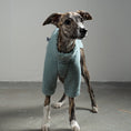 Bild in Galerie-Betrachter laden, TEDDY PULLOVER Windhund Mint