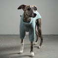 Bild in Galerie-Betrachter laden, TEDDY PULLOVER Windhund Mint