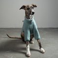 Bild in Galerie-Betrachter laden, TEDDY PULLOVER Windhund Mint
