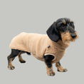 Bild in Galerie-Betrachter laden, TEDDY SHIRT Dackel Sand Beige