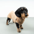 Bild in Galerie-Betrachter laden, TEDDY SHIRT Dackel Camel
