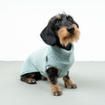 Bild in Galerie-Betrachter laden, TEDDY SHIRT Dackel Mint