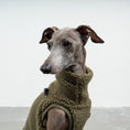 Bild in Galerie-Betrachter laden, TEDDY SHIRT Iggy Dark Olive