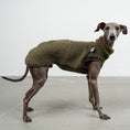 Bild in Galerie-Betrachter laden, TEDDY SHIRT Iggy Dark Olive