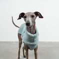 Bild in Galerie-Betrachter laden, TEDDY SHIRT Iggy Mint