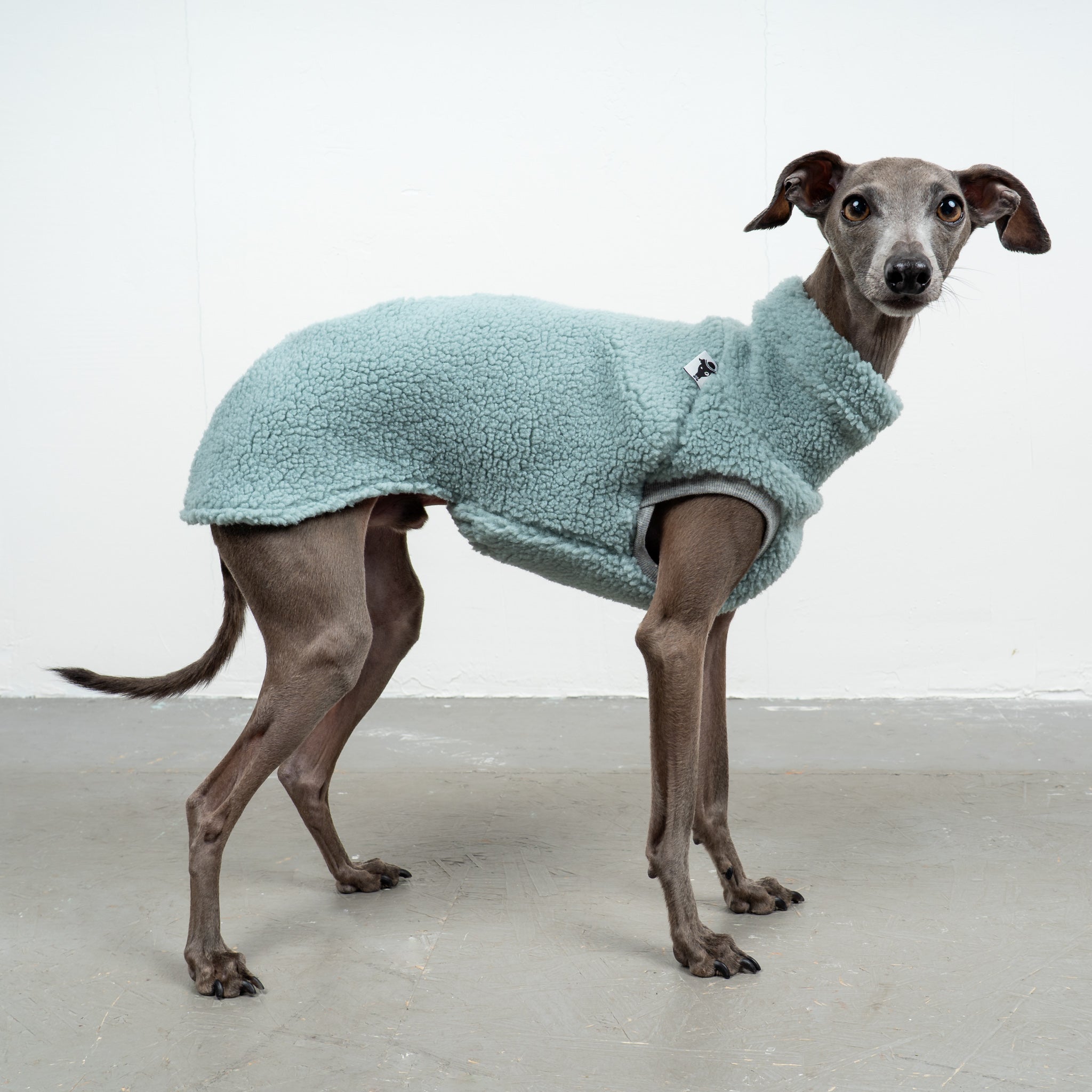 Hundepullover Italienisches Windspiel Shirt aus Teddy in Mint Handgemacht  in Berlin  Karma Hund