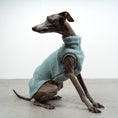 Bild in Galerie-Betrachter laden, TEDDY SHIRT Iggy Mint