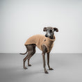 Bild in Galerie-Betrachter laden, TEDDY SHIRT Iggy Sand Beige