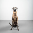 Bild in Galerie-Betrachter laden, TEDDY SHIRT Iggy Sand Beige