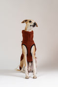 Bild in Galerie-Betrachter laden, Weiches Long Shirt für Whippets aus Teddy-Fleece – idealer Kälteschutz mit Stil und Komfort