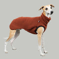 Bild in Galerie-Betrachter laden, TEDDY SHIRT Windhund Rostbraun