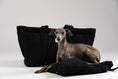 Bild in Galerie-Betrachter laden, Schwarzer Teddy Shopper von Karma Hund mit kleinem italienischen Windspiel – elegantes, kuscheliges Hundebett für unterwegs.