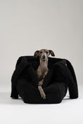 Bild in Galerie-Betrachter laden, Italienisches Windspiel ruht im schwarzen Teddy Shopper – stilvolles Reisebett von Karma Hund für kleine Hunde.