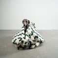 Bild in Galerie-Betrachter laden, Teddy Shopper Green Waves - Rückzugsort unterwegs für Dackel, Windspiel, Zwergpudel, Zwergspitz, Whippet - Windspiel Tasche