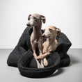 Bild in Galerie-Betrachter laden, Teddy Shopper BLACK