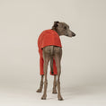 Bild in Galerie-Betrachter laden, Windspiel-Mode: Terracotta-Fleece-Pullover für Hunde – stilvoll und praktisch zugleich