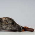 Bild in Galerie-Betrachter laden, VEGDOG Chevvies XL
